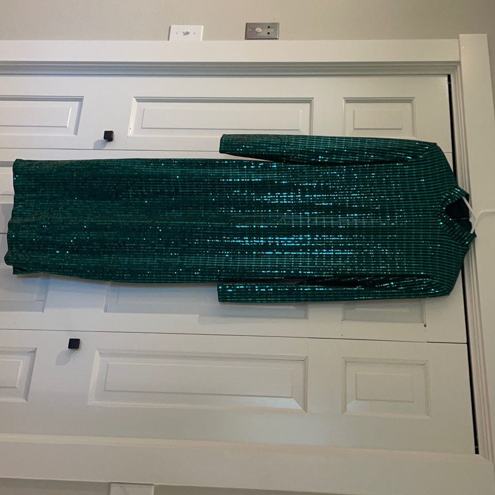 Fun, emerald green with gold fleck sparkles. Size L only worn once